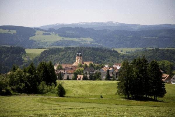 Gastehaus Wald Und See Тітізе-Нойштадт Екстер'єр фото